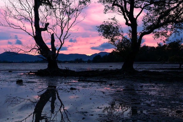 Imagen de larga exposición del cielo dramático del color del cielo con la reflexión en la puesta del sol