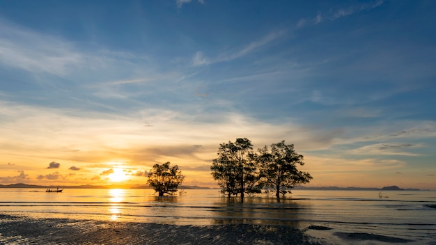 Imagen de larga exposición del espectacular atardecer o amanecer cielo y nubes sobre la montaña con árboles en el mar