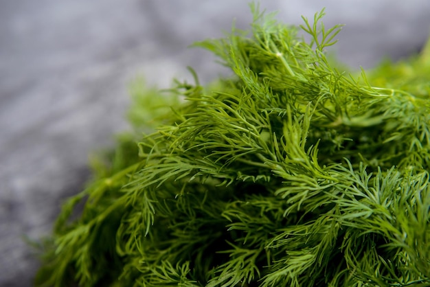 Imagen macro de eneldo verde sobre mesa gris