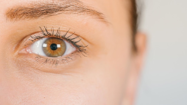 Imagen macro del ojo humano con lentes de contacto Primer plano del ojo de la mujer Ojo humano con pestañas largas con rímel Cosméticos y maquillaje