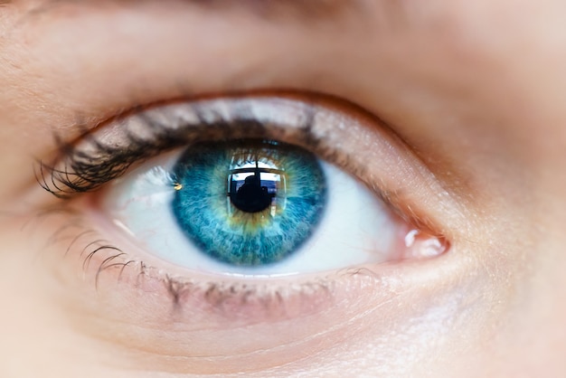 Foto imagen macro del ojo humano