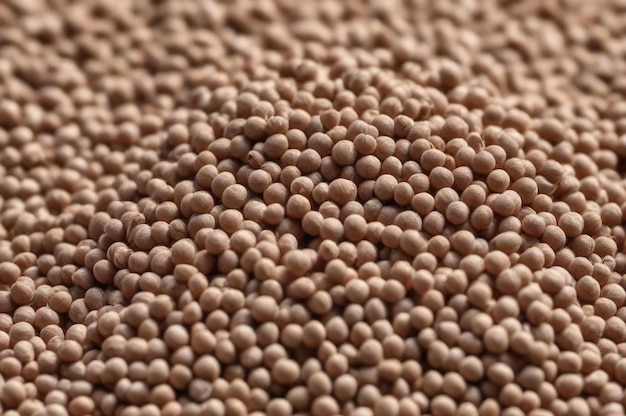 Imagen macro de primer plano de fondo de grano de trigo sarraceno cuadro completo Concepto de fondos de alimentos veganos naturales y estilo para texturas de diseño y papel tapiz Espacio de copia