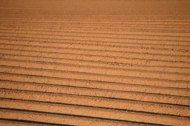 Imagen de madera en cuadro completo