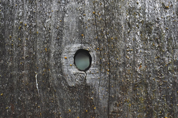 Foto imagen de madera en cuadro completo