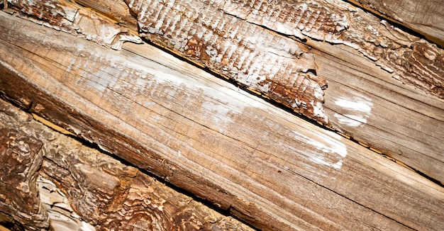 Imagen de madera en cuadro completo