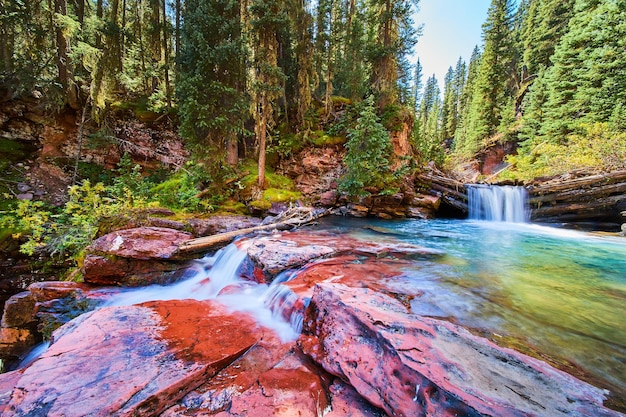 Imagen de majestuosas cascadas sobre rocas rojas en el cañón de rocas cubiertas de musgo y pinos