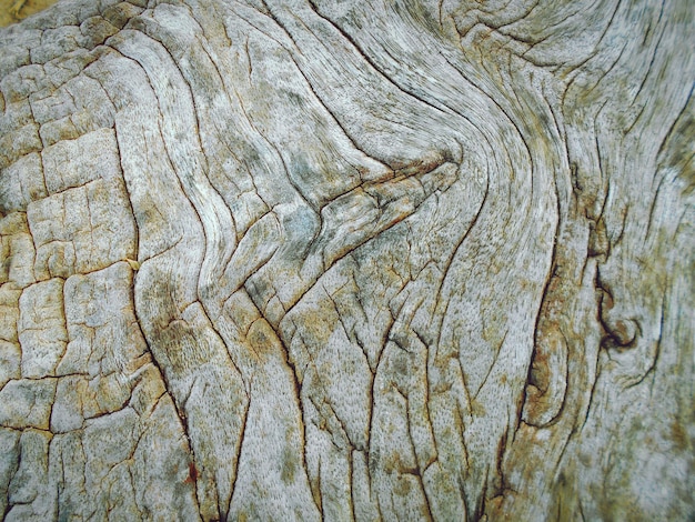 Imagen de marco completo de madera