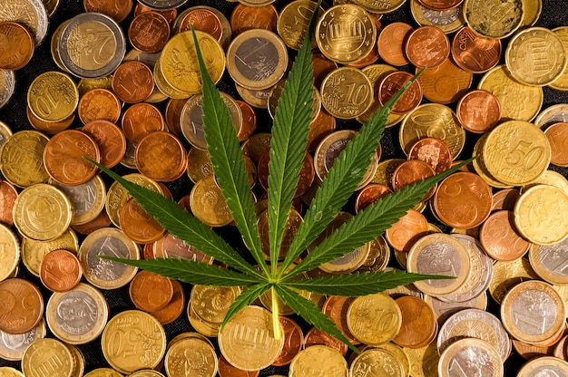 Imagen de la marihuana y el dinero Cannabis Business Concept
