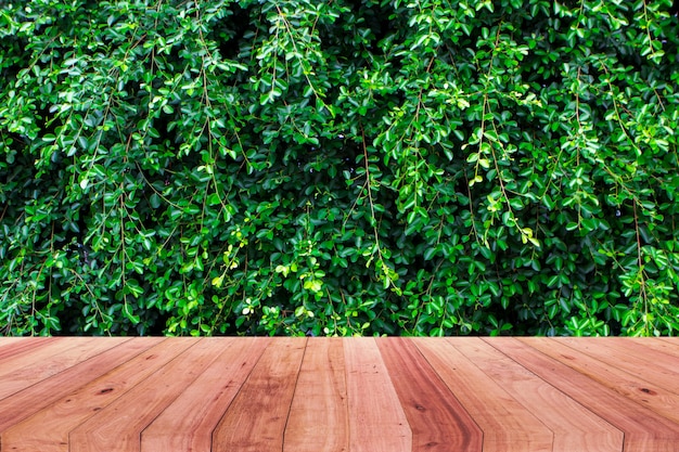 Imagen de la mesa de madera delante de fondo abstracto de árbol