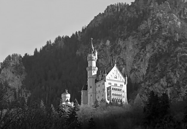 Imagen monocroma del castillo de Neuschwanstein ubicado en la colina cerca de Fussen, Baviera, Alemania