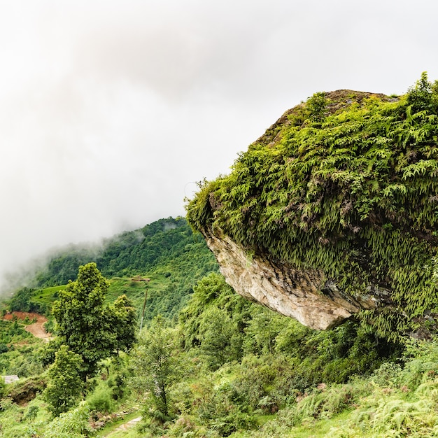 Imagen de las montañas del Himalaya cubiertas de niebla. Colinas verdes con bosque detrás de las nubes. Senderismo, trekking en Nepal.
