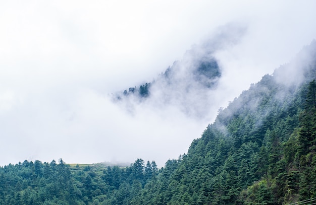 Imagen de las montañas del Himalaya cubiertas de niebla