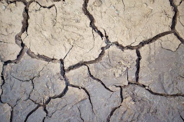 En esta imagen se muestra una superficie de suelo agrietada.