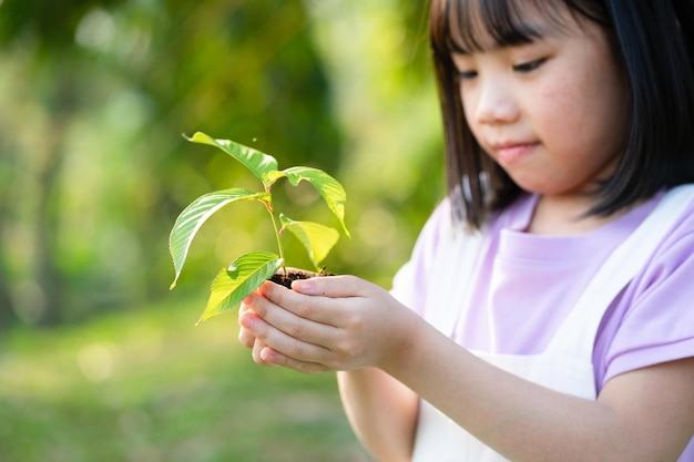 Imagen Niña asiática sosteniendo un retoño en la mano