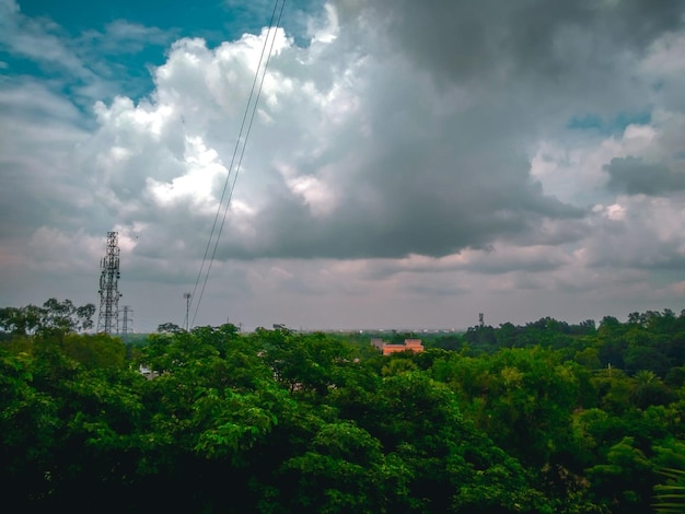 Foto imagen de una nube oscura con un árbol verde