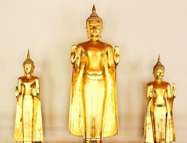 Imagen de oro de Buda en el templo de Wat Pho, Bangkok, Tailandia.