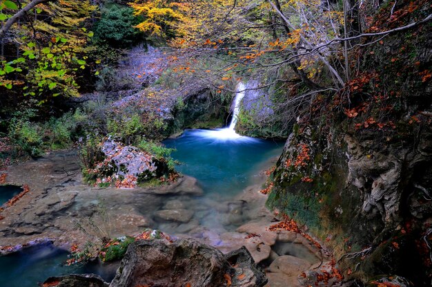 Foto imagen otoñal del parque natural del río urederra navarra españa