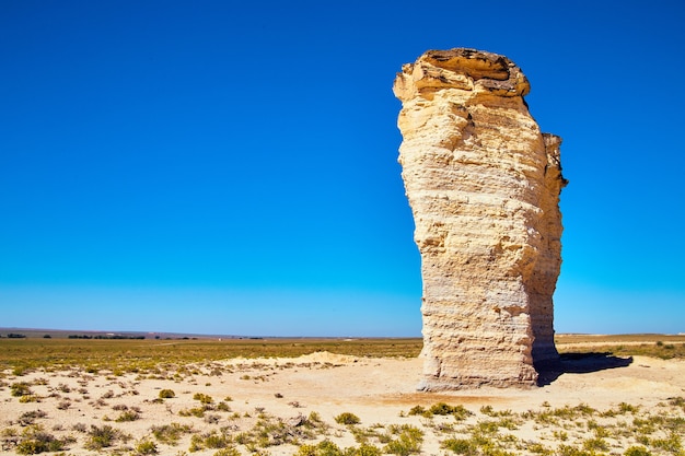 Imagen de paisaje en el desierto con inusual gran pilar de roca blanca