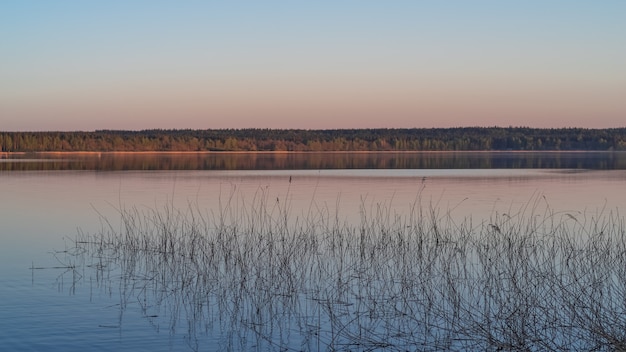 Imagen del paisaje de un hermoso lago del bosque en la luz del atardecer