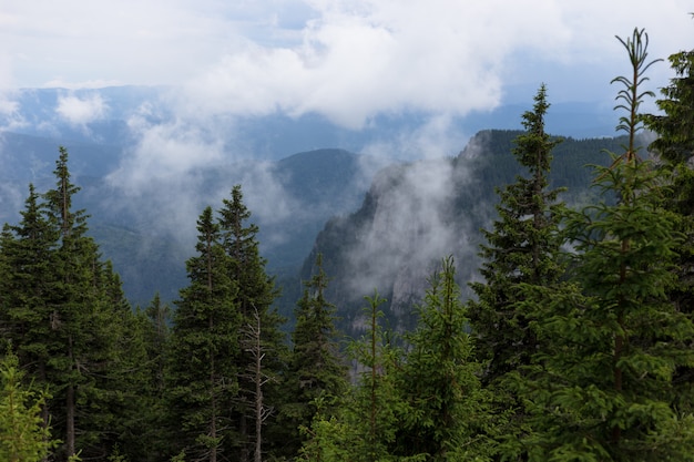 Imagen con un paisaje de las montañas de los Cárpatos orientales