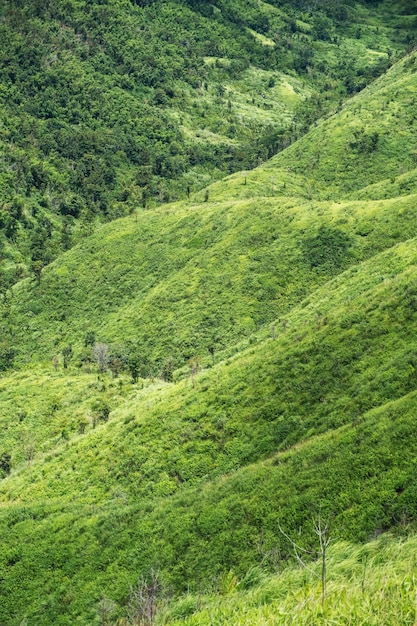 Imagen paisajística de una hermosa vista de las cordilleras