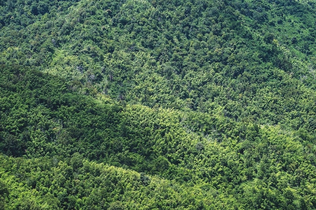 Imagen paisajística de una hermosa vista de las cordilleras