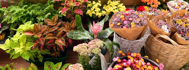 Imagen panorámica de un puesto de flores y plantas.