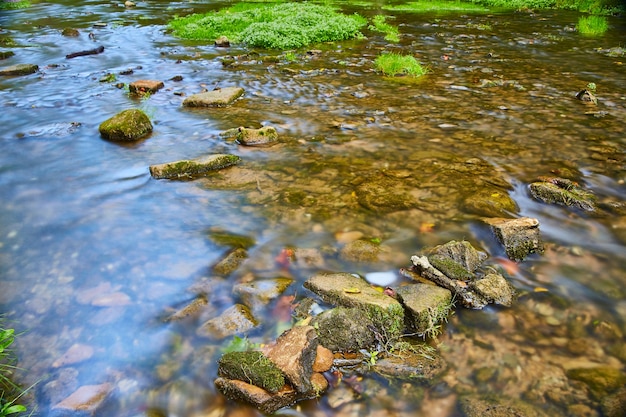 Imagen de parches de musgo y pasto cerca de pequeñas rocas en el lecho de un río poco profundo