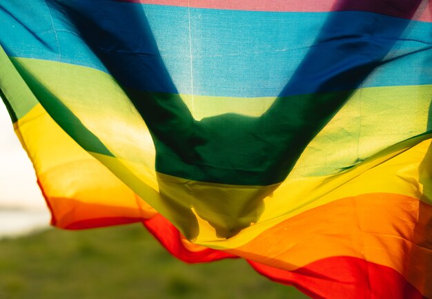 Imagen de una pareja gay cogidos de la mano en la bandera lgbt