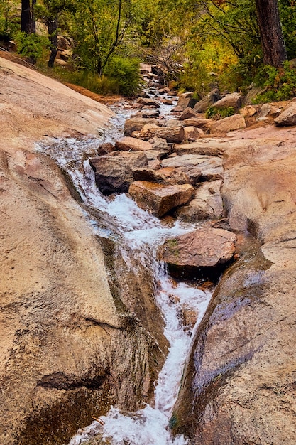 Imagen del pequeño arroyo de agua que fluye a través del cañón de roca en el bosque