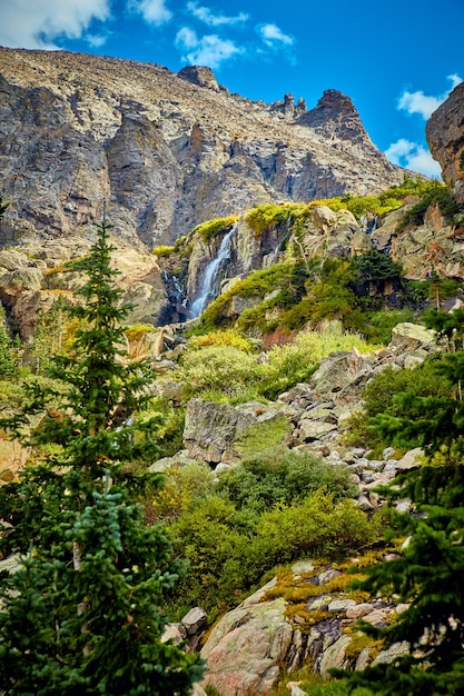 Imagen de pino con gran cascada de montaña en segundo plano.