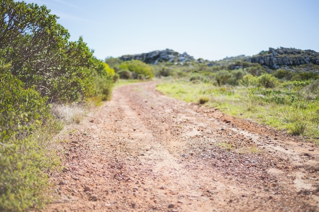 Imagen de la pista en un paisaje árido