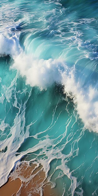 una imagen de una playa con el océano en el fondo