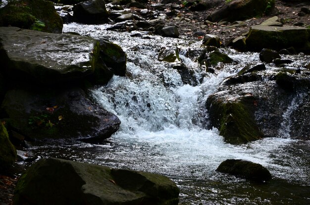 Imagen de primer plano de una pequeña cascada salvaje en forma de cortos arroyos de agua entre piedras de montaña
