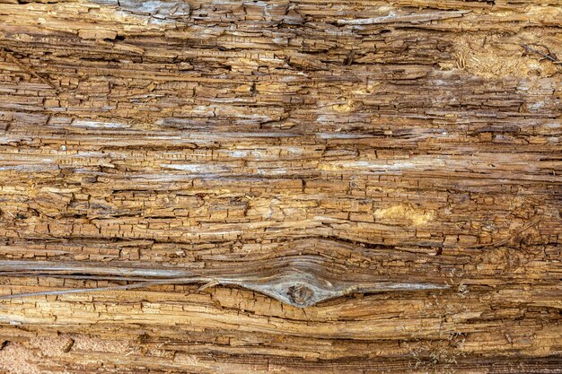 Imagen de primer plano de una vieja tabla de madera Tronco de árbol arrugado Textura de fondo