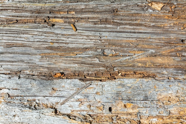 Imagen de primer plano de una vieja tabla de madera Tronco de árbol arrugado Textura de fondo