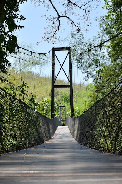 Foto una imagen del puente de cable en la jungla