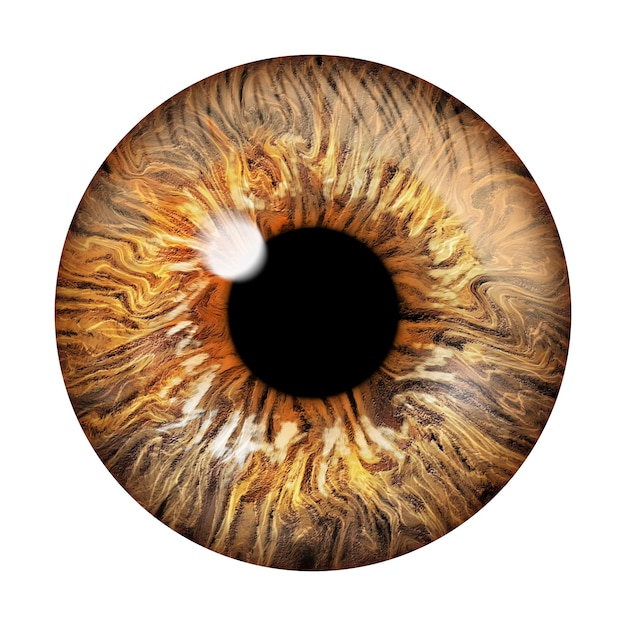 Foto imagen realista de un ojo iris córnea retina con destello luminoso ojo marrón claro y amarillo 3d