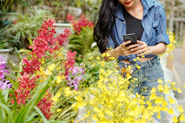 Imagen recortada de la diseñadora paisajista tomando fotos de flores florecientes en invernadero cuando trabaja en un proyecto para el cliente