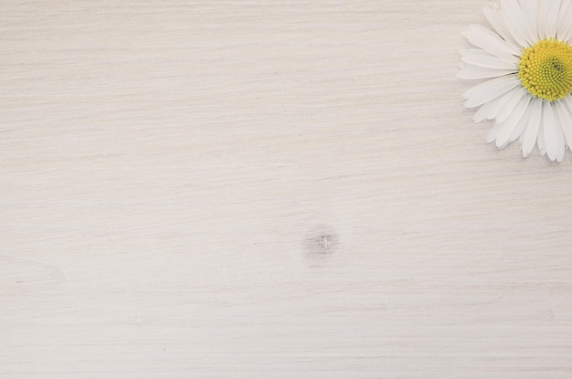 Foto imagen recortada de una flor blanca en una mesa de madera