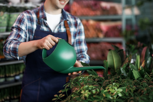 Imagen recortada, hombre guapo trabajador regando las plantas de flores en invernadero