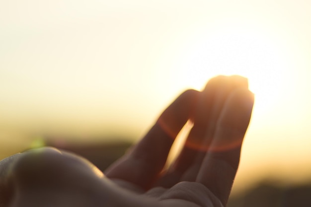 Foto imagen recortada de la mano de una mujer contra el sol que brilla en el cielo