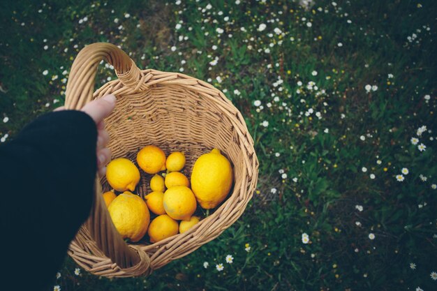 Foto imagen recortada de una mano sosteniendo una canasta de mimbre con limones