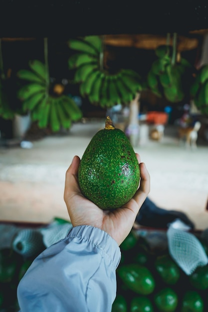 Foto imagen recortada de una mano sosteniendo frutas en el mercado