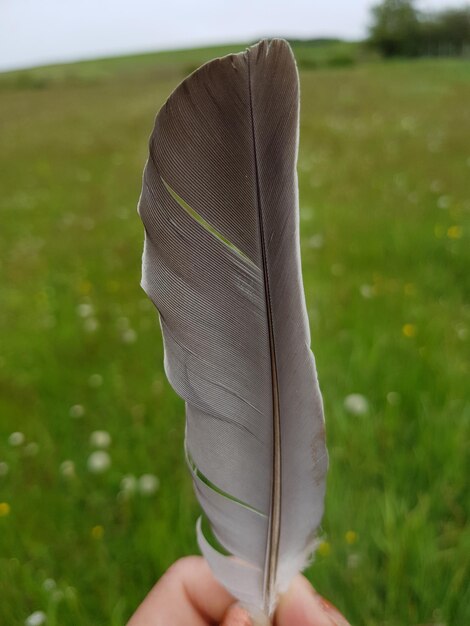 Imagen recortada de una mano sosteniendo una pluma