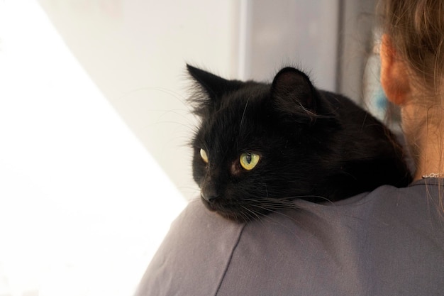 Imagen recortada de un médico veterinario que sostiene un gato negro en sus brazos en una clínica veterinaria.