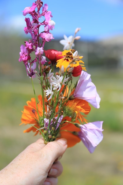 Imagen recortada de una mujer sosteniendo varias flores en el campo
