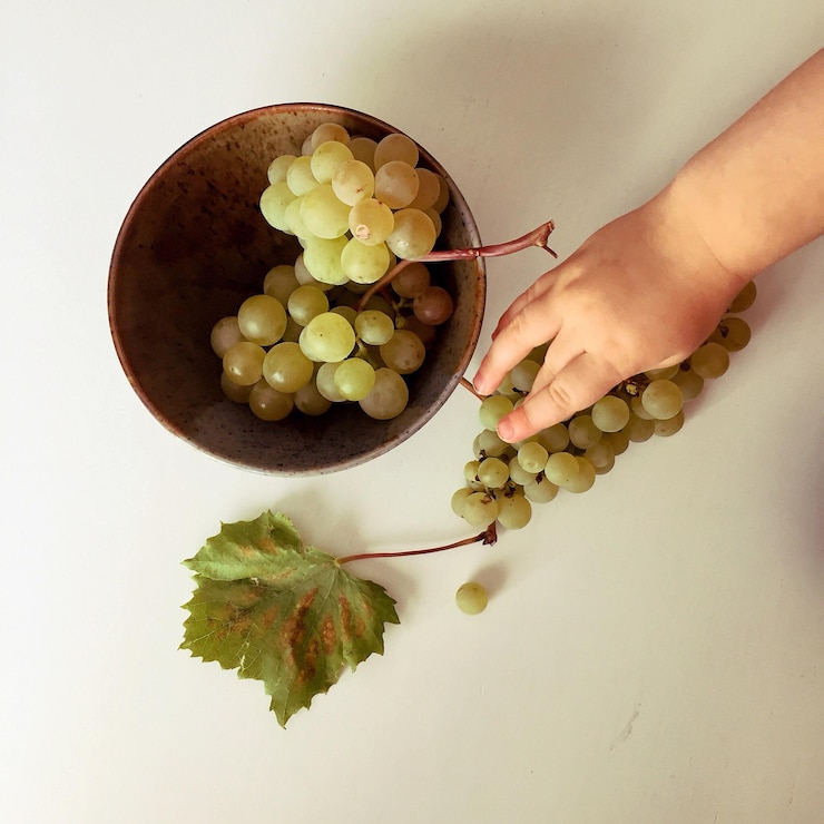 Foto imagen recortada de un niño recogiendo uvas en la mesa