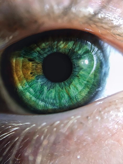 Imagen recortada de una persona con ojos verdes