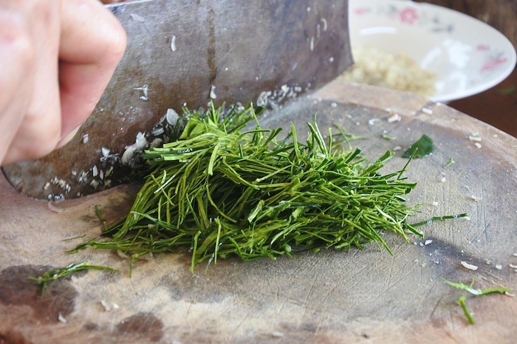 Foto imagen recortada de una persona sosteniendo una hoja